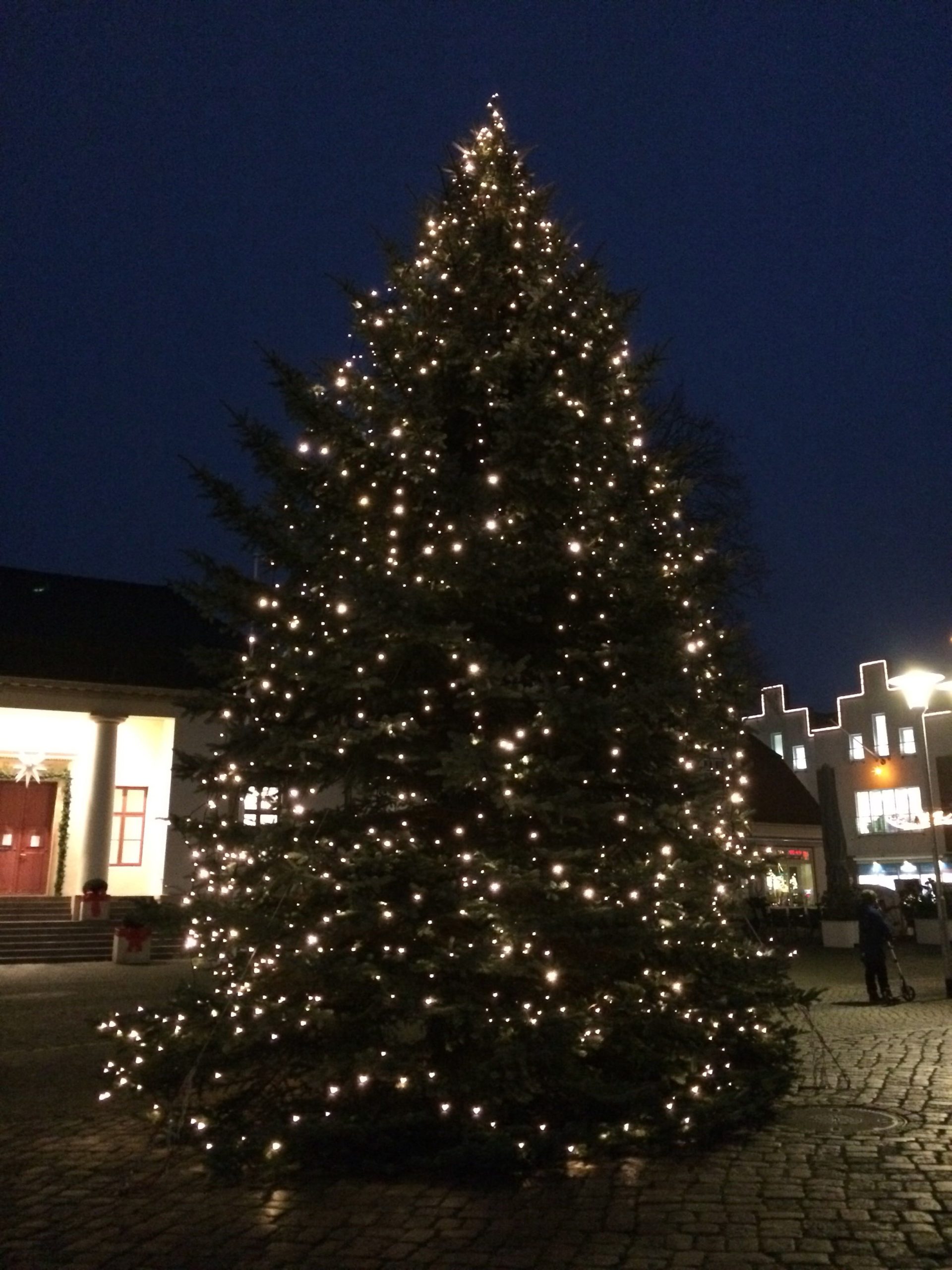 Der Lichtertannenbaum auf dem Marktplatz